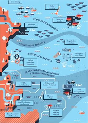 Twelve Recommendations for Advancing Marine Conservation in European and Contiguous Seas